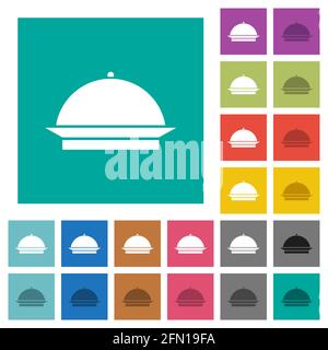 Food tray multi colored flat icons on plain square backgrounds. Included white and darker icon variations for hover or active effects. Stock Vector