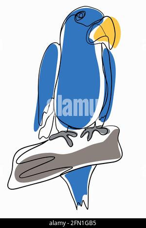 Parrot in line art style. Simple vector illustration, freehand drawing. Solid black line and colored spots. Stylized macaw parrot. Exotic bird. Stock Vector