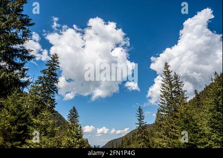 White cumulus clouds on the blue bright sky Stock Photo