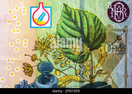Selective focus on the detail of LEI banknotes. Stock Photo