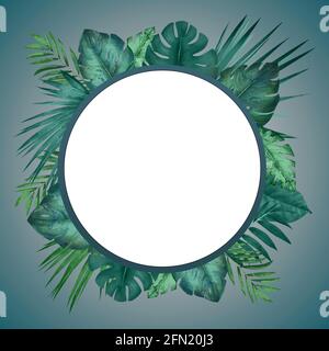 Tropical leave palm label design. Tropical leave frame on green background. (Illustration) Stock Photo