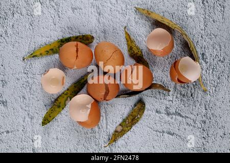 Top view of broken eggshells on a stone surface Stock Photo