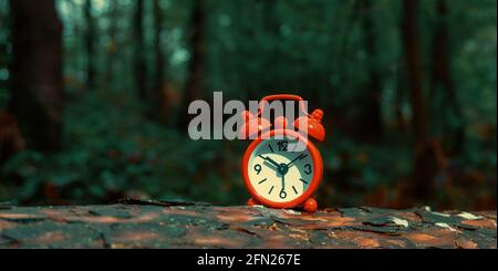 Small red alarm clock on a forest stump. Alarm clock in the forest on the stump of an old fallen tree. Stock Photo