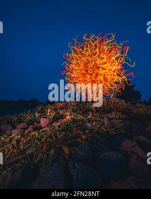 Dale Chihuly's Glass in Bloom Glass Sculpture Installation at the Gardens by the Bay in Singapore at Night Stock Photo