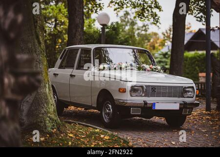 a wartburg 353 is parking in wood Stock Photo