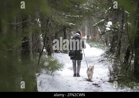 Landscape photo of a woman and dog walking on path in forest in winter season Stock Photo