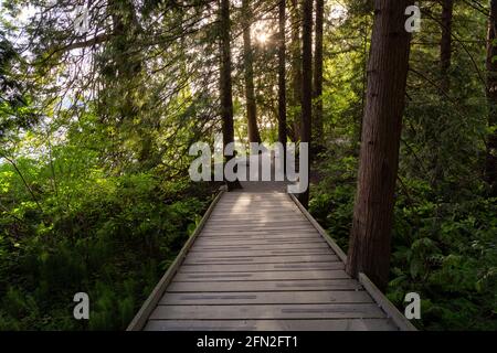 Shoreline Trail, Port Moody, Greater Vancouver, British Columbia, Canada Stock Photo