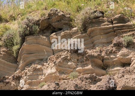 Geological leyers of yellow sandstone in Ischia Stock Photo