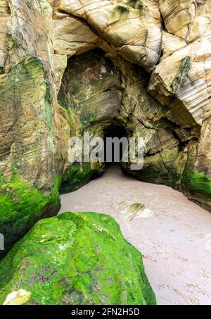 Beach cave in the rocks at Brown[’s Bay, Cullercoats in the north of ...