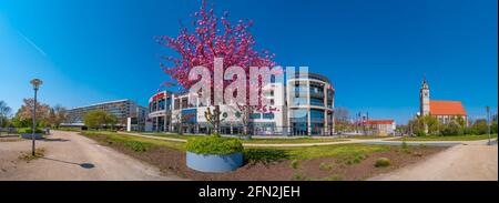 Panoramic view over shopping center Allee Center, rosy cherry tree in blossom and Church of Saint Jochannis (Jochanniskirche) in historical downtown o Stock Photo