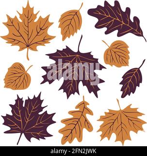 Vector collection of different colorful autumn leaves. Fall season set. Stock Vector
