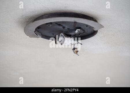 Close up shot of an empty bulb holder on ceiling Stock Photo