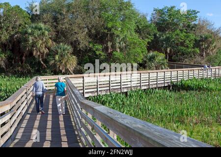People walking on elevated boardwalk at Green Cay Nature Center and Wetlands, Boynton Beach, Florida. Stock Photo