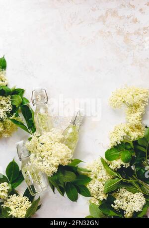 Ingredients to Make Elderflower Liqueur, Elderflower cordial in small bottles on rustic white wooden table. Top view, blank space Stock Photo