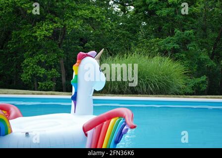 unicorn inflatable floating in a backyard swimming pool Stock Photo