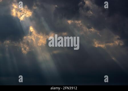 Dramatic storm clouds with rays of light passing through and lonely sea gull flying. Just before heavy storm. Stock Photo