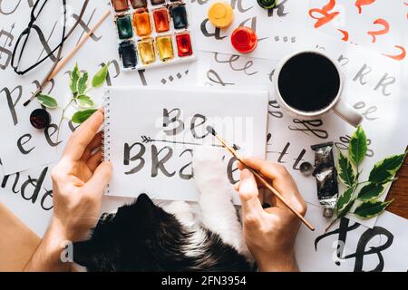 Top View man and cat writing on paper sheet canvas calligraphy word BE brave drawing with black red ink brush.creative artist freelancer in home studi Stock Photo