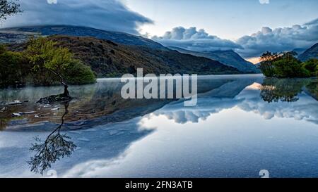 The Lone Tree Llanberis North Wales Stock Photo