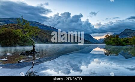 The Lone Tree Llanberis North Wales Stock Photo