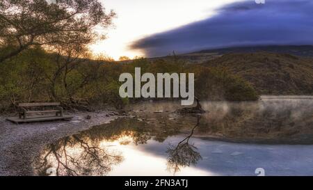 The Lone Tree Llanberis North Wales Stock Photo