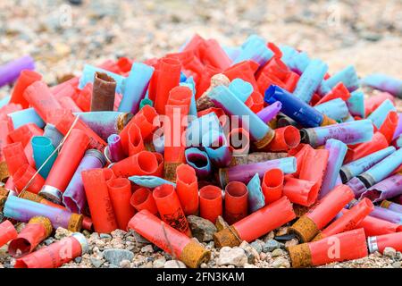 Near Lepreau, NB, Canada - May 8, 2021: An assorted pile of used shotgun shells on the ground. They appear to have been used for skeet shooting. Stock Photo