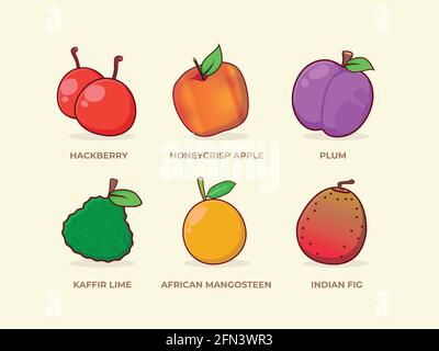 Fruit Set Illustration of various fruits. Hackberry, Honeycrisp Apple, Plum, Kaffir Lime, African Mangosteen and Indian Fig Vector Stock Vector