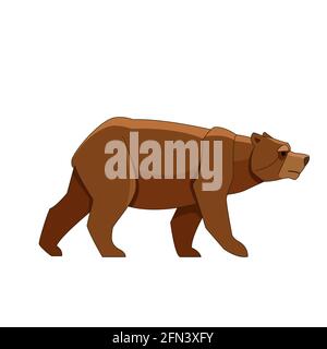 A Brown Bear looking and walking. Cartoon character of big mammal animal. Wild forest creature with brown fur. Vector flat illustration isolated on Stock Vector