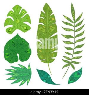 Set of tropical leaves with folk pattern. Vector natural design element. Banana, monstera, palm and liana. Vector hand drawn flat foliage with decorat Stock Vector