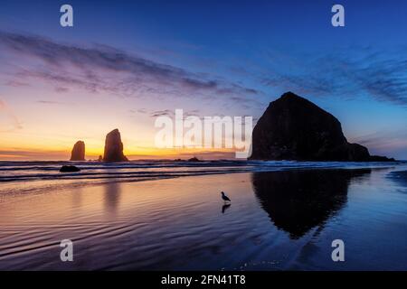 Haystack Rock after sunset, Cannon Beach, Oregon Stock Photo