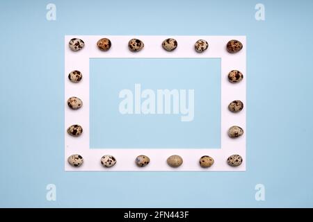 quail Eggs on white frame on blue background  Stock Photo