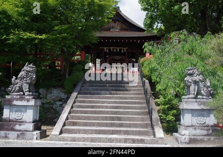 Kenkun shrine Kyoto Japan Stairs leading top worship hall flanked by lion-dogs Stock Photo