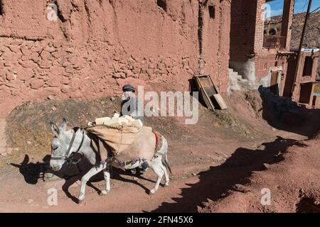 Man with donkey loaded with bricks walking between the red colored houses of the ancient village Abyaneh, Isfahan Province, Iran Stock Photo