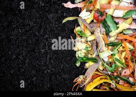 biodegradable kitchen waste on soil. composting organic food leftovers. copy space Stock Photo