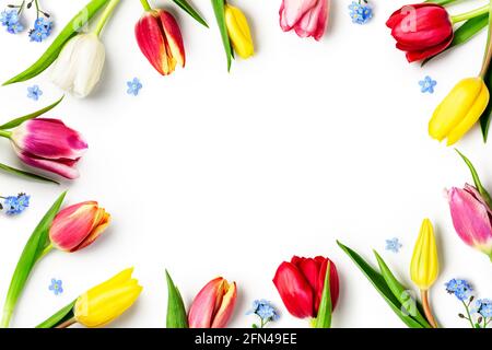 Floral spring frame. Composition and layout made of colorful tulip and forget me not flowers isolated on white background. Top view, flat lay and copy Stock Photo