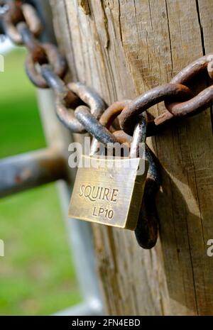 padlock on farm gate, norfolk, england Stock Photo
