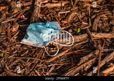 A surgical mask lies in the undergrowth of a nature reserve and pollutes nature Stock Photo