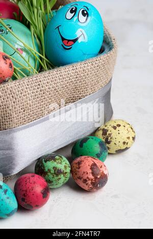 many multi-colored quail colored eggs and one blue funny Stock Photo