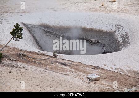 Sulphur Caldron in Mud Volcano Area in Yellowstone National Park in Wyoming in the USA Stock Photo