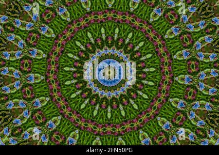 Kaleidoscope green abstract pattern background of blue butterflies, stock photo image Stock Photo