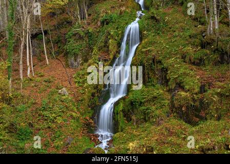 Toran river and Saut d'Arbaet waterfall, in autumn, in the Toran Valley (Aran Valley, Catalonia, Spain, Pyrenees) ESP: Río de Toran y cascada en otoño Stock Photo