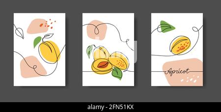 Apricot fruits, wall line art decor. Set of vector illustrations, one continuous line decoration of apricots for kitchen or cafe Stock Vector