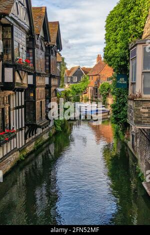 The Great Stour river in the historiCathedral city of Canterbury in Kent, UK. Timber built dwellings alongside later brick built homes and businesses. Stock Photo