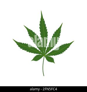 Cannabis or green medical marijuana leaf isolated on white background. Herbal medicine herb plant, natural weed hemp. Vector illustration. Stock Vector