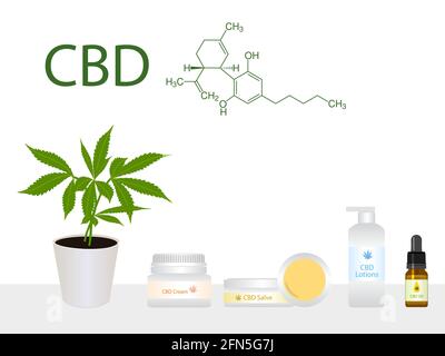 Marijuana, cannabis plant in pot with CBD products, natural ecological cosmetics cream, salve, lotion, oil with green medical marijuana, chemical form Stock Vector