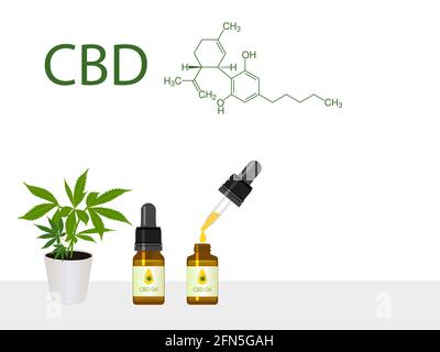 Marijuana, cannabis plant in pot with CBD product oil with green medical marijuana, chemical formula of Cannabidiol, banner of green cannabis with cop Stock Vector