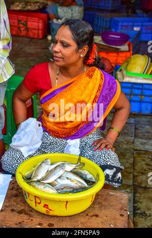 Fish Market, Panjim, Panaji, goa, India Stock Photo