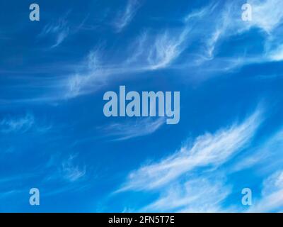 Cirrus uncinus cloud floating gently across a blue sky, wather implication, the longer the filamennts grow the stronger the wind will become. Stock Photo