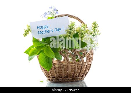 bouquet of white lilacs with a thank you card on a white background Stock Photo