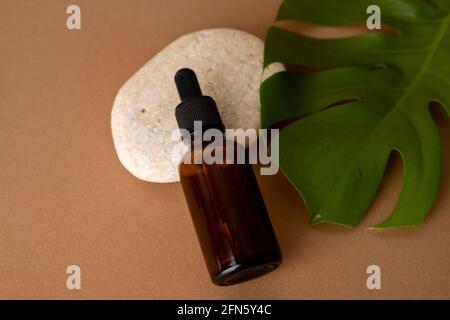 Brown glass bottle dropper with cosmetic oil with monstera plant and stone on terracotta background, closeup. Stock Photo