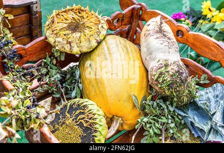 Composition from various colorful fresh autumn vegetables Stock Photo